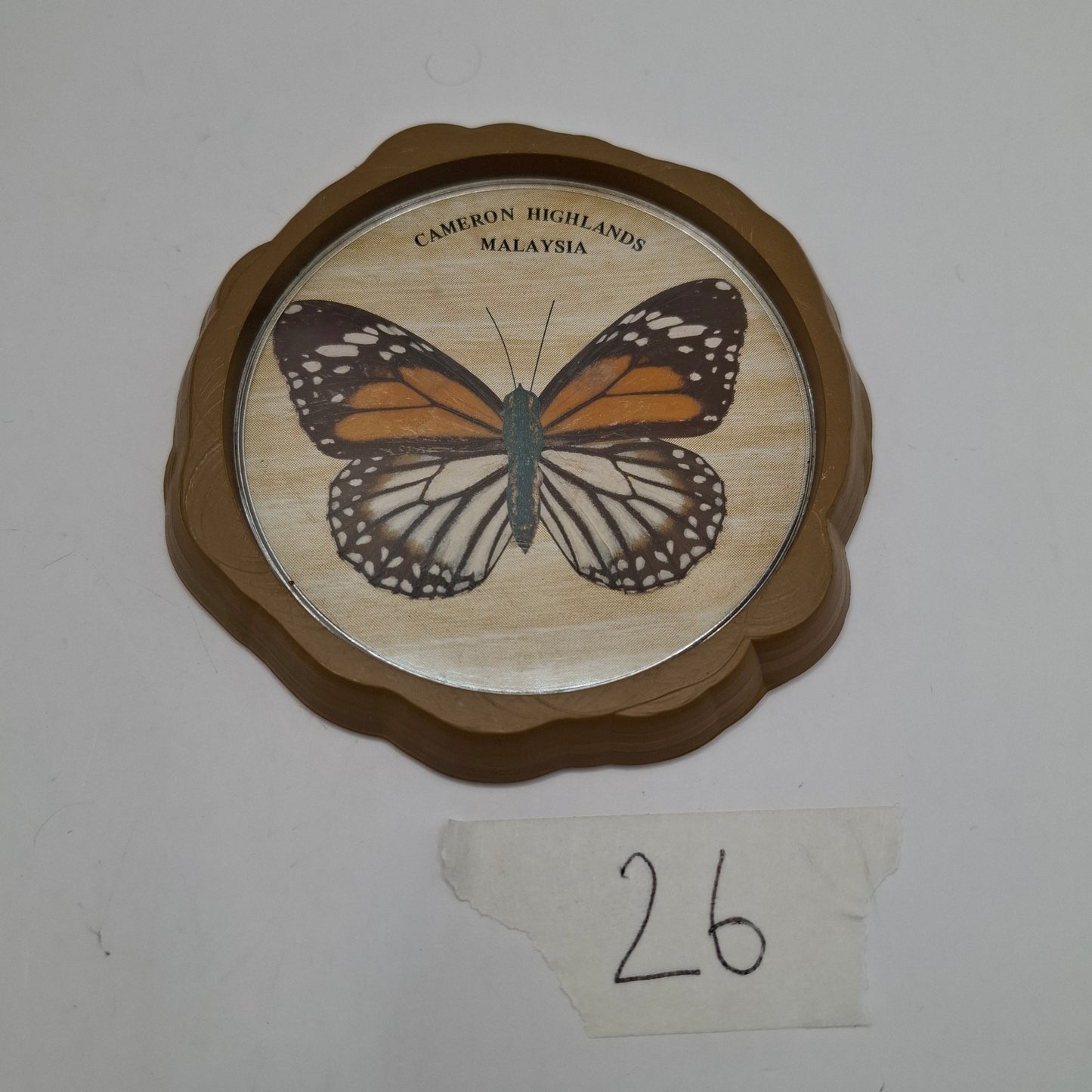 Butterfly Coasters