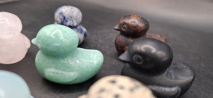 Rock Ducks