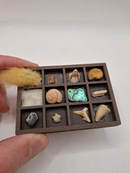 Mini Bits