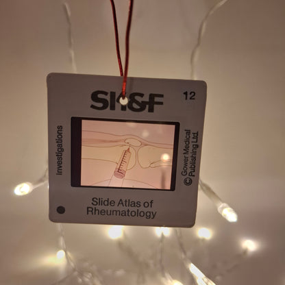 Festive Medical Slides