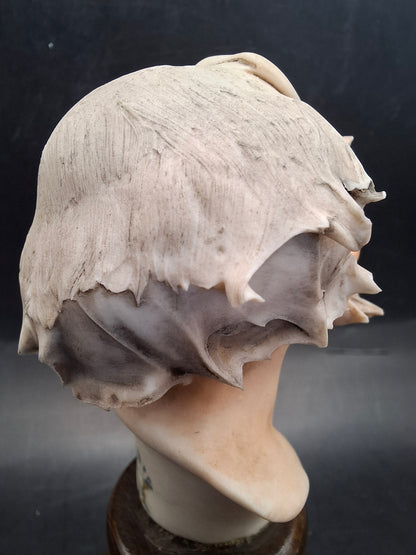 Old Man Heads