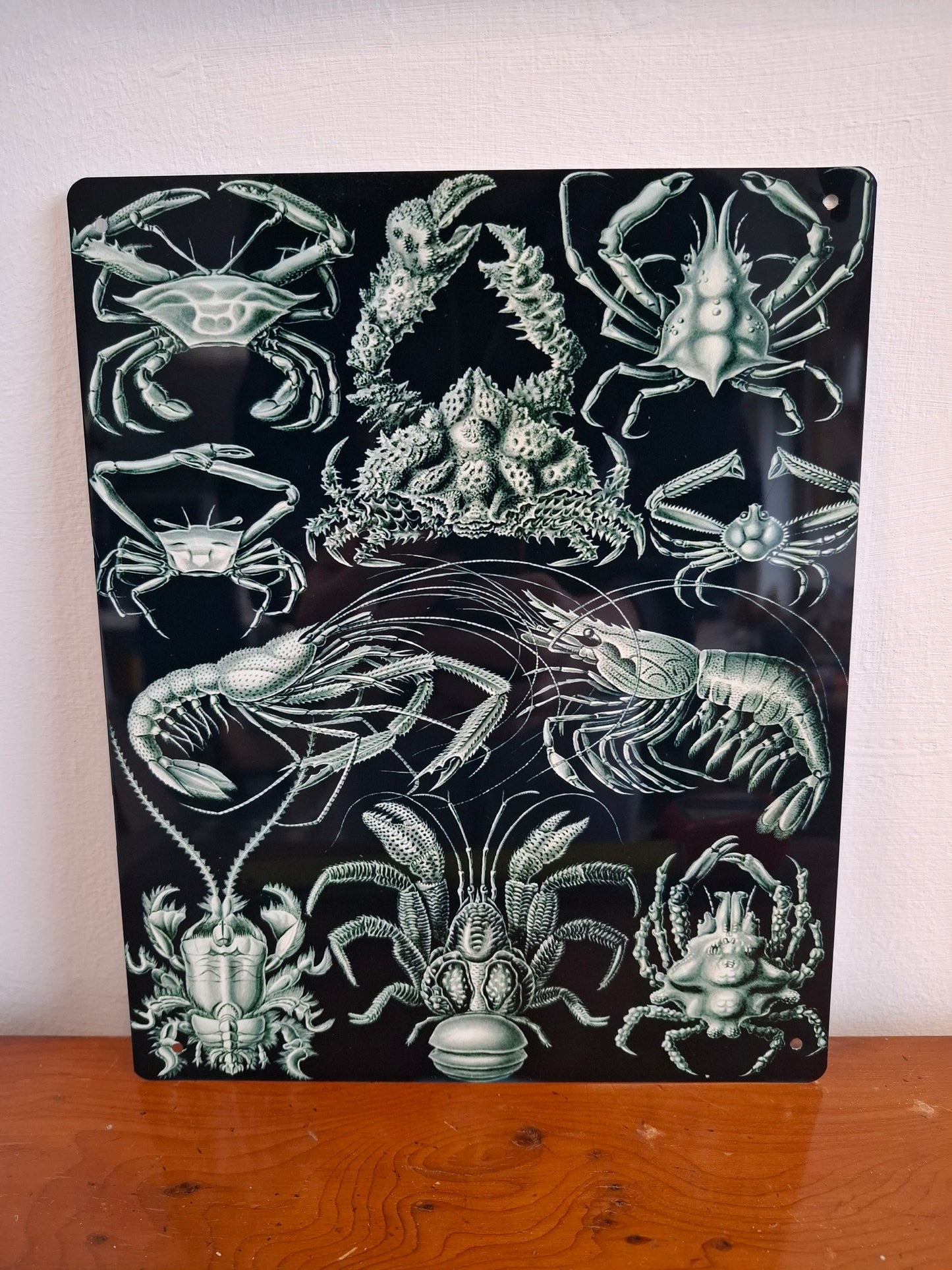 Crustacean Sign
