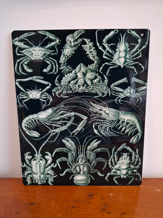 Crustacean Sign