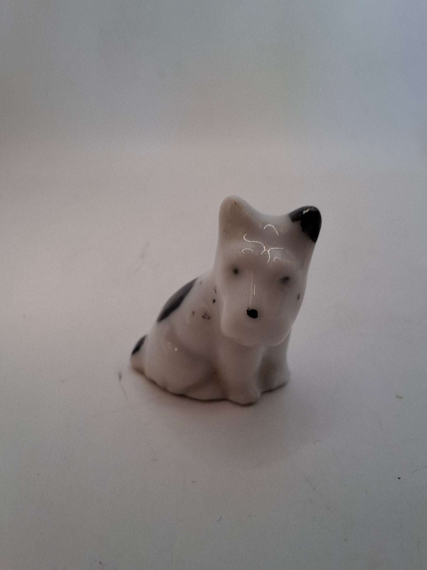 Tiny Animals MORE OF THEM