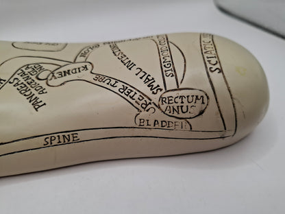 Unscientific Foot