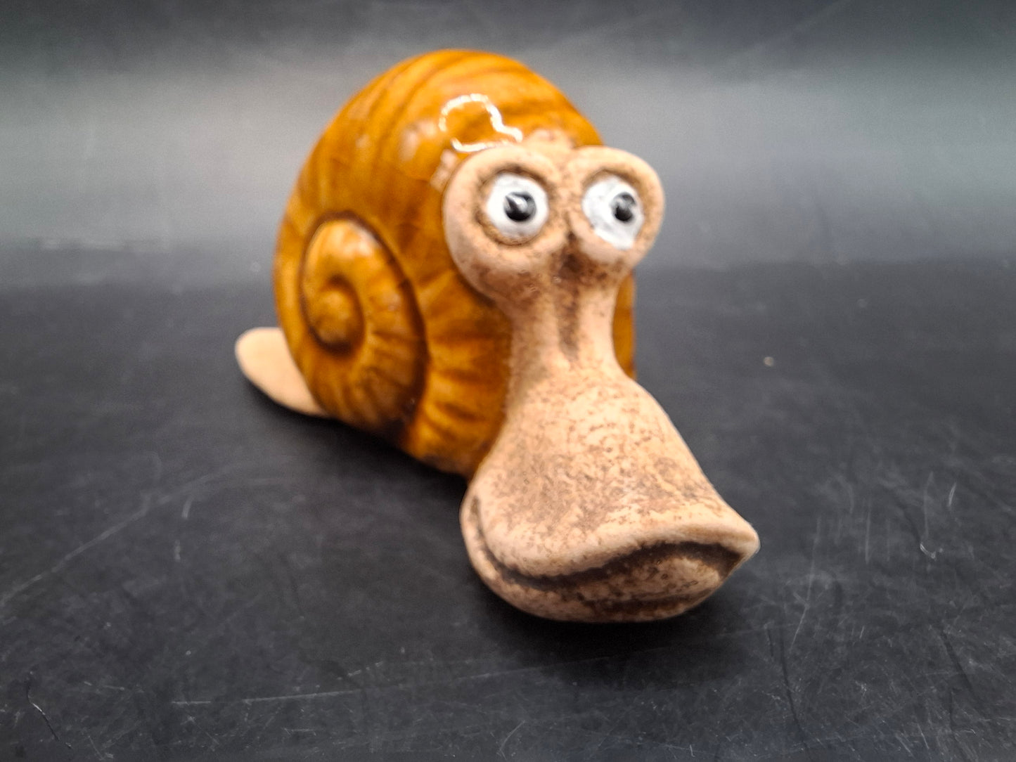 Gormless Snail