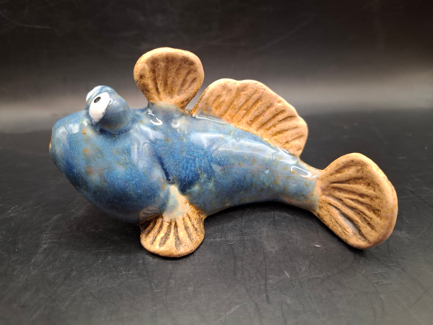 Blue Mudskipper