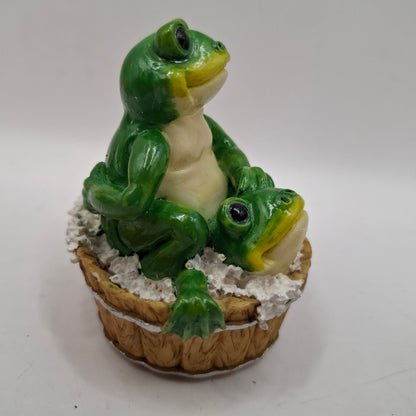 Weird Frogs (More of them!)