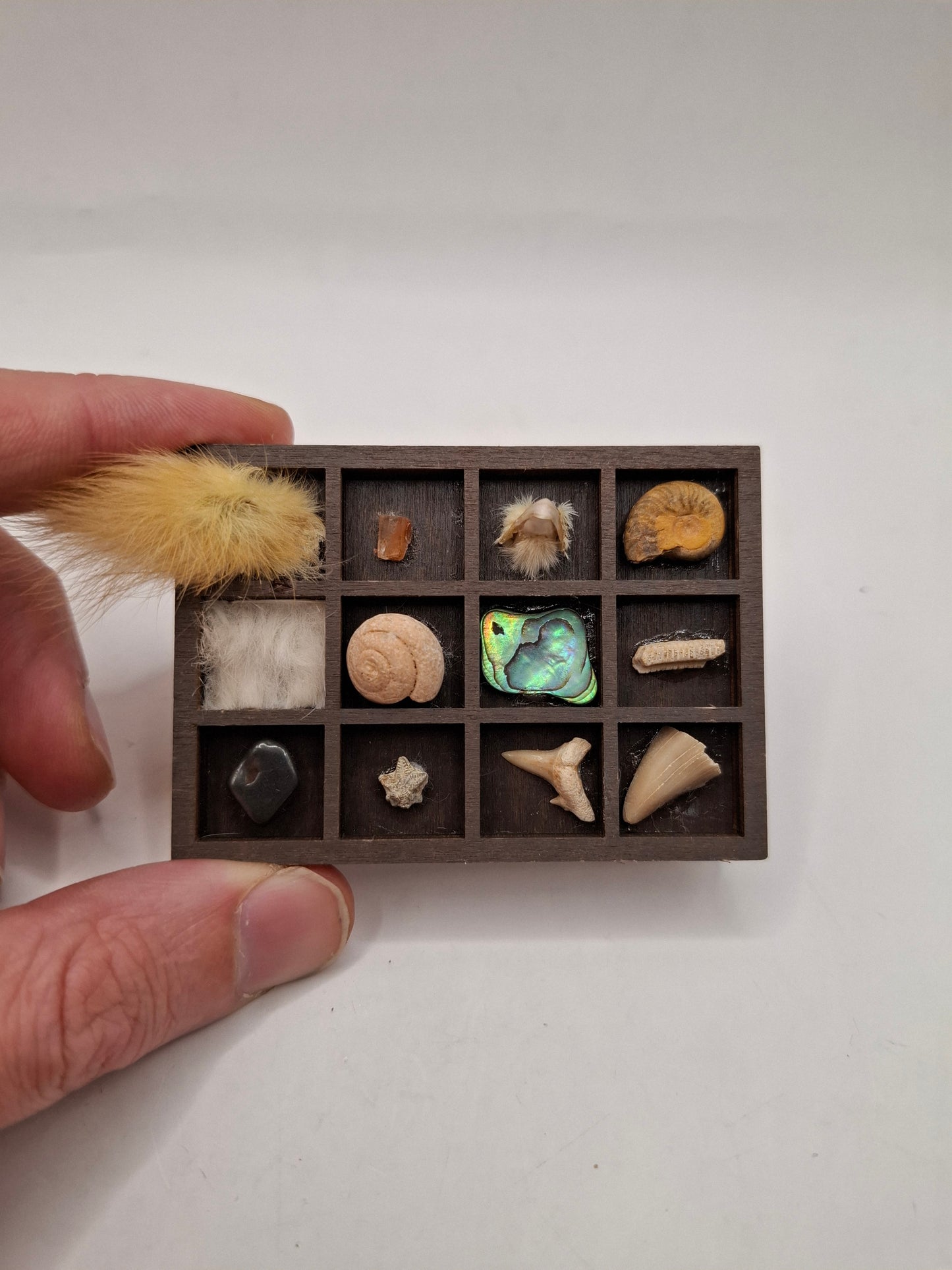 Mini Bits