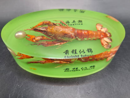 Crayfish In Resin