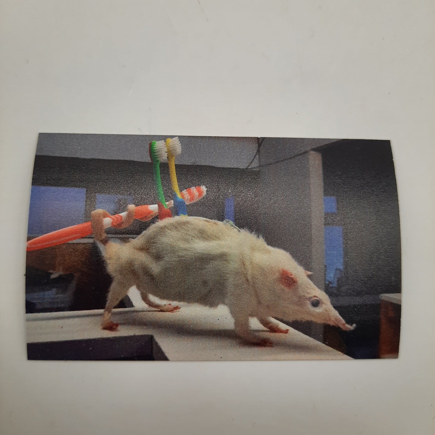 Rat Pencilcase Magnet