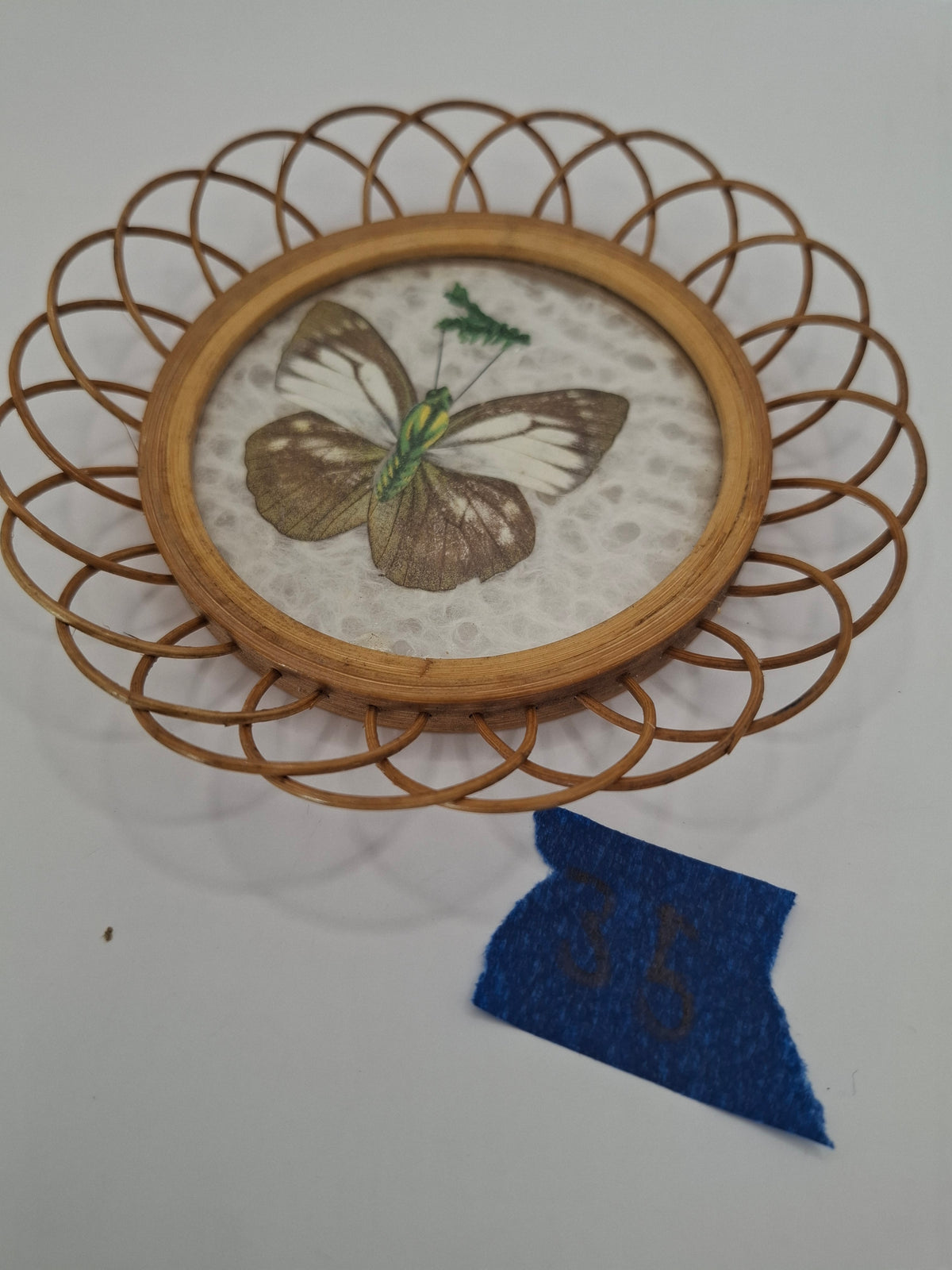 Butterfly Coasters