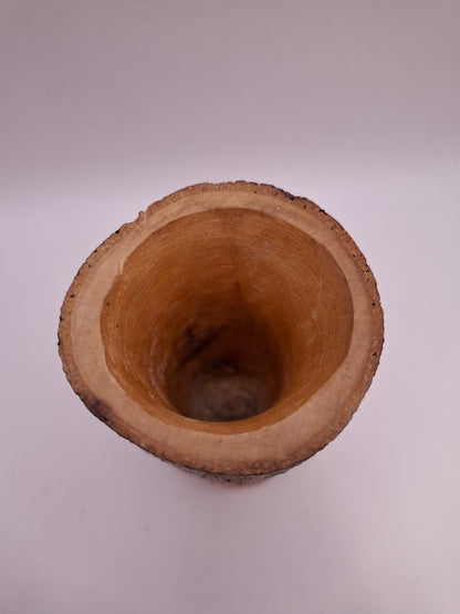 Wooden Pen Pot