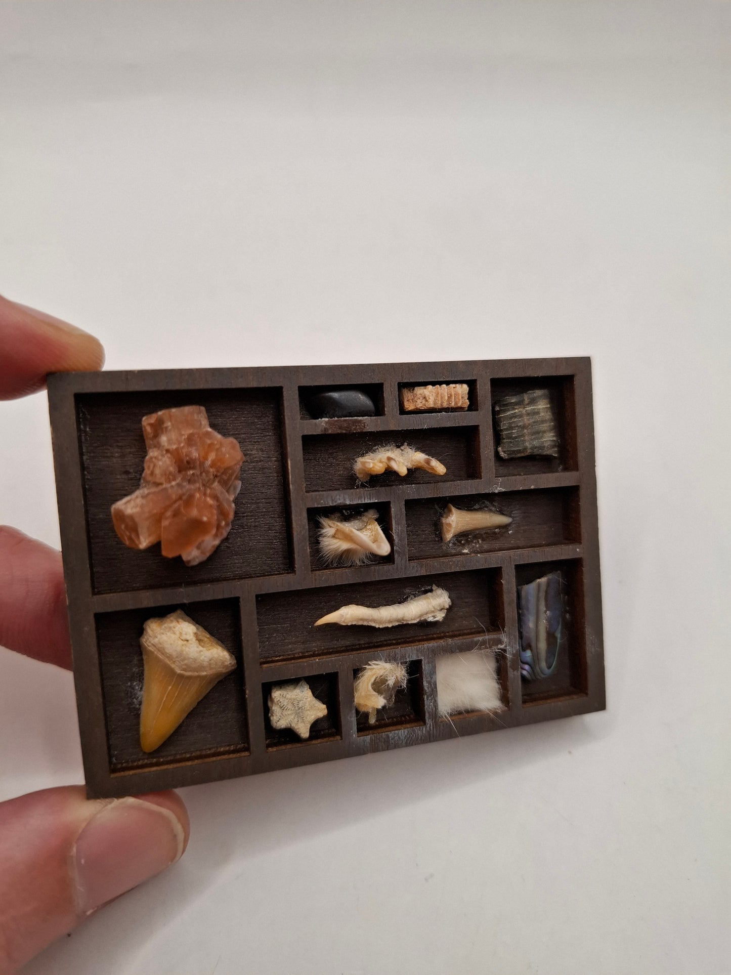 Mini Bits