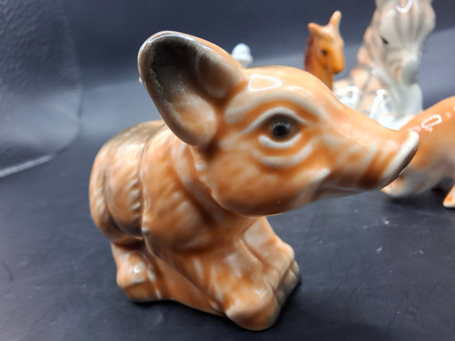 Brown Animals
