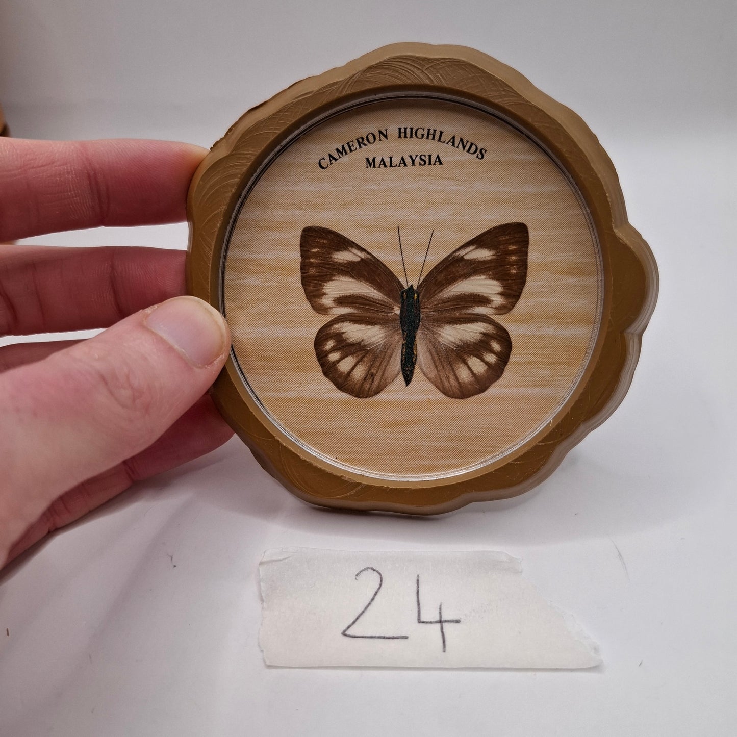 Butterfly Coasters