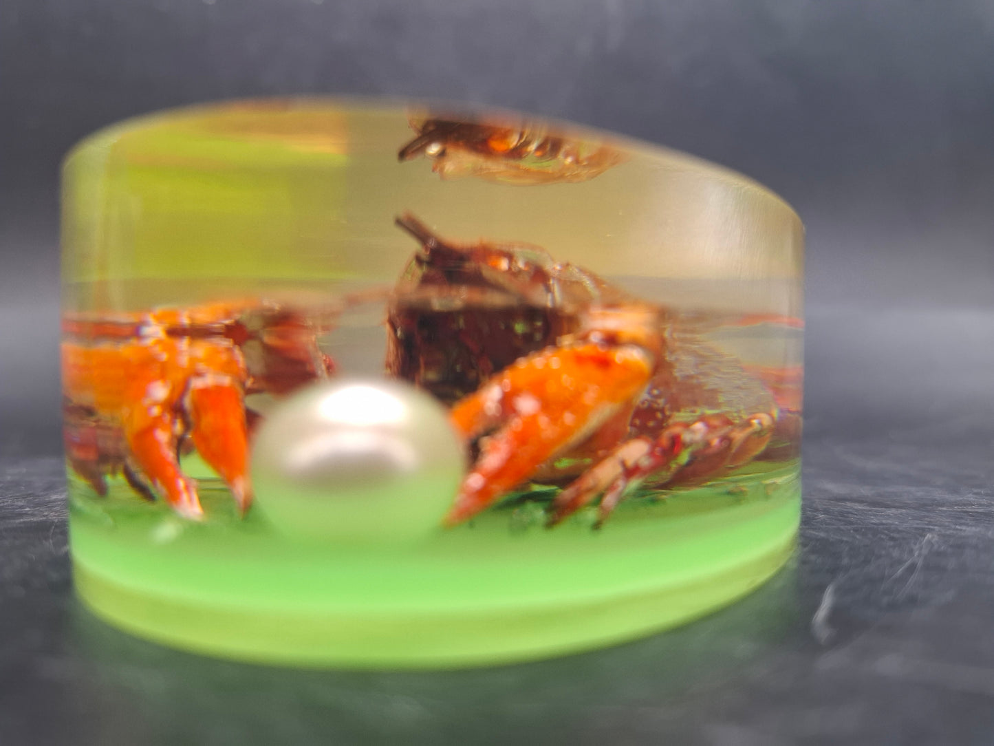 Crayfish In Resin