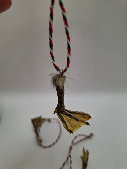 Festive Duck Feet