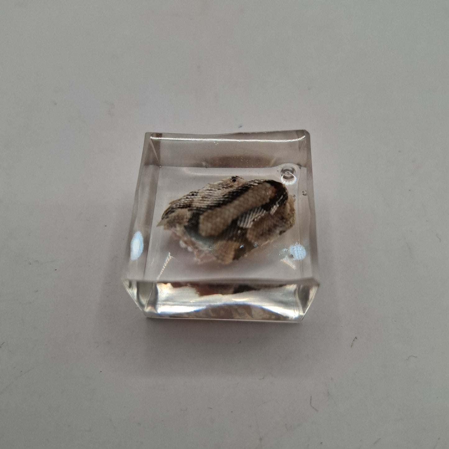 Bargain Box AKA Imperfect things