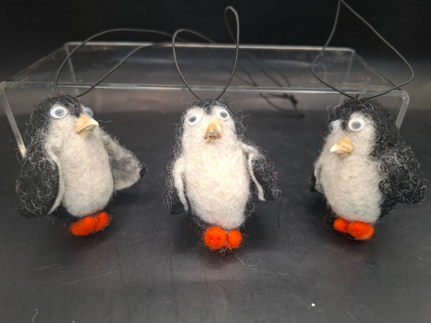 Dead Bird's Beak On A Penguin