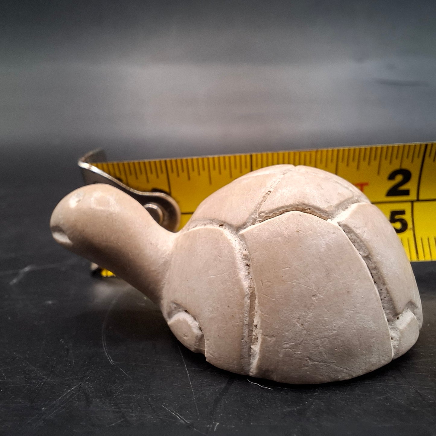 Little Turtle Carving