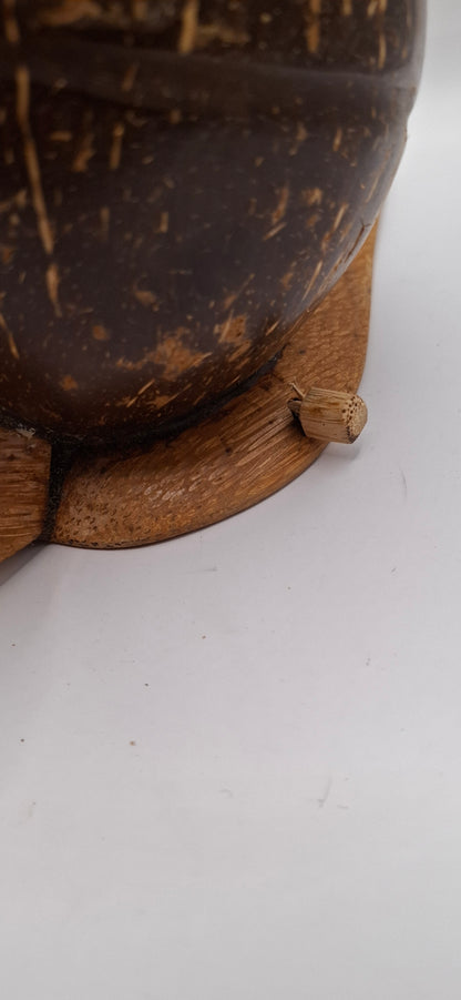Snail Money Box