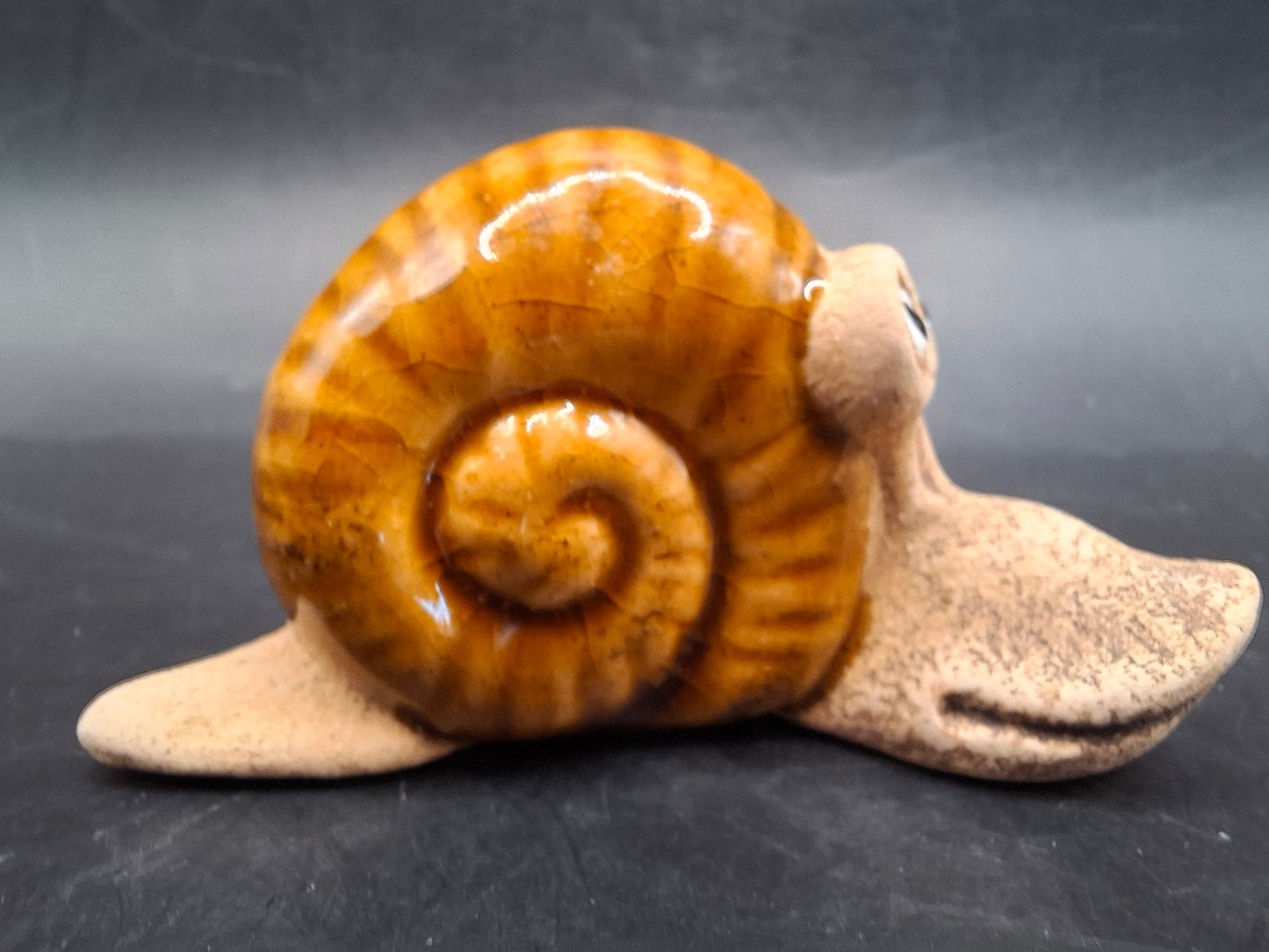 Gormless Snail