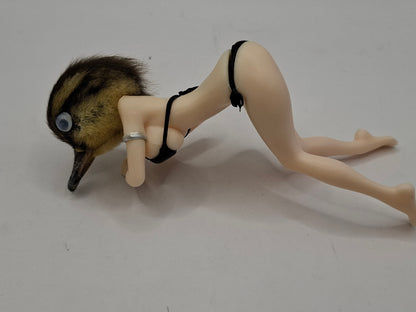 Peeping Duck