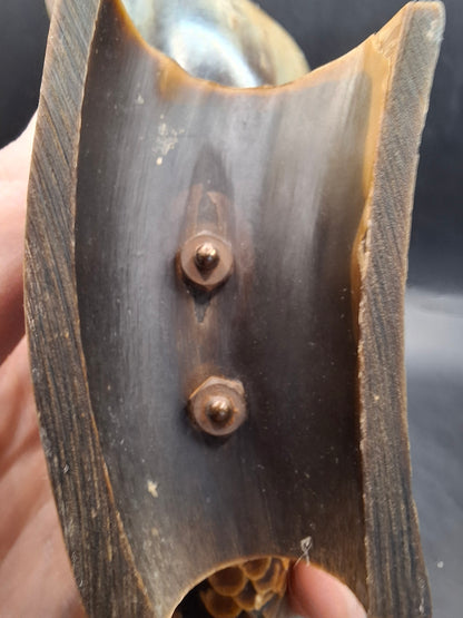 Fish Horn Carving (UK Only)