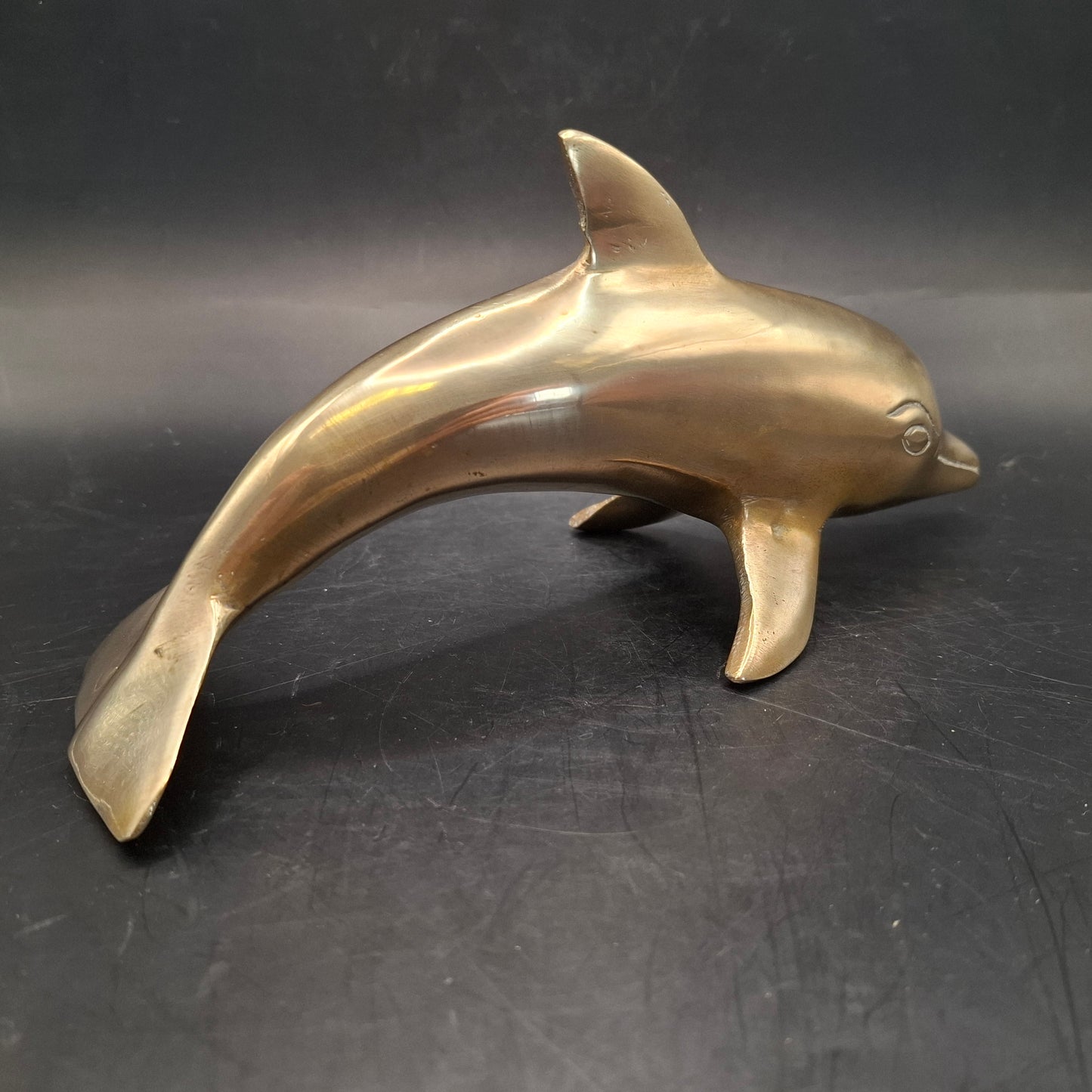 Metal Dolphin