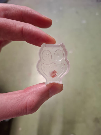 Owl Arse
