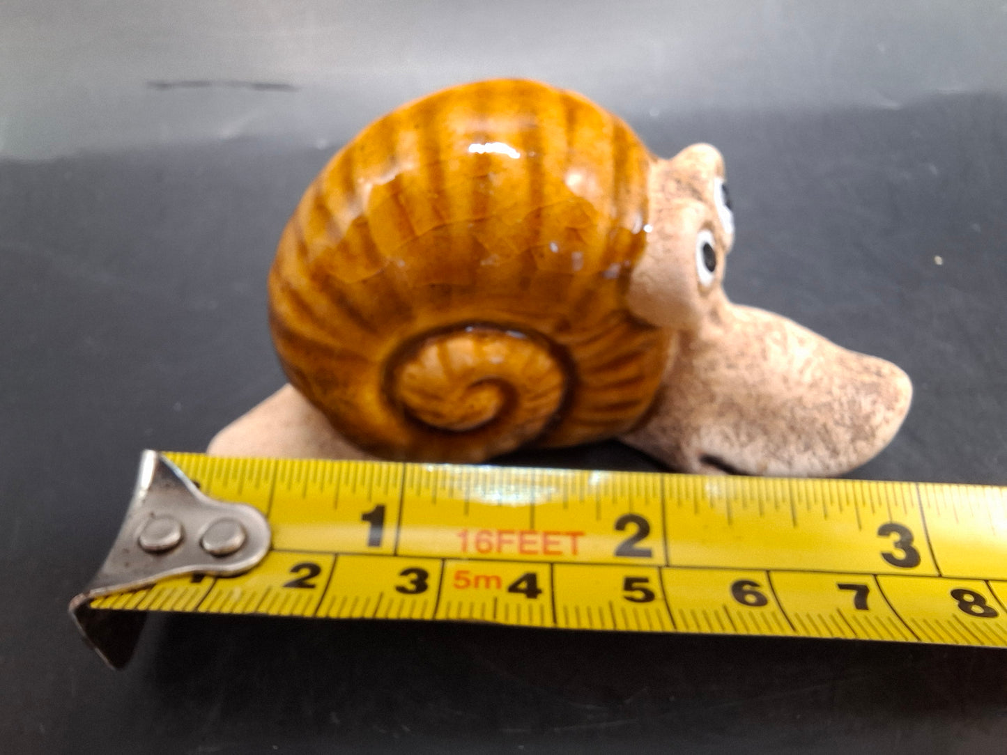 Gormless Snail