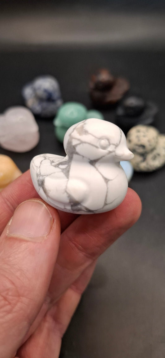 Rock Ducks