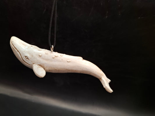 Fishy Danglers