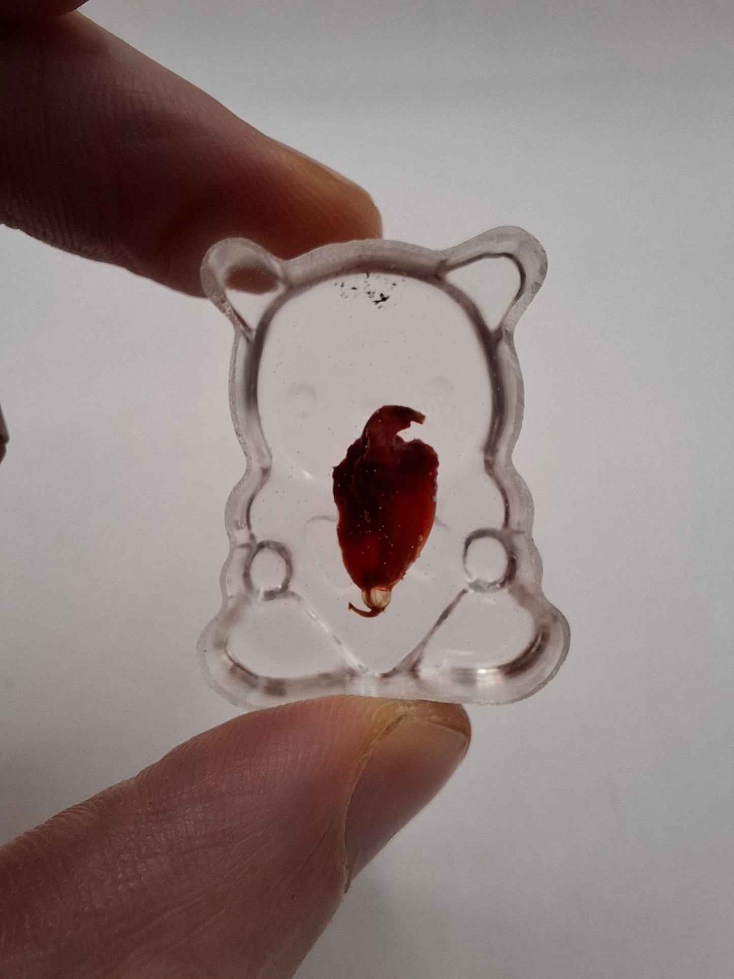 Bear Holding A Heart