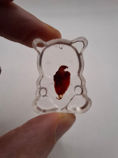 Bear Holding A Heart