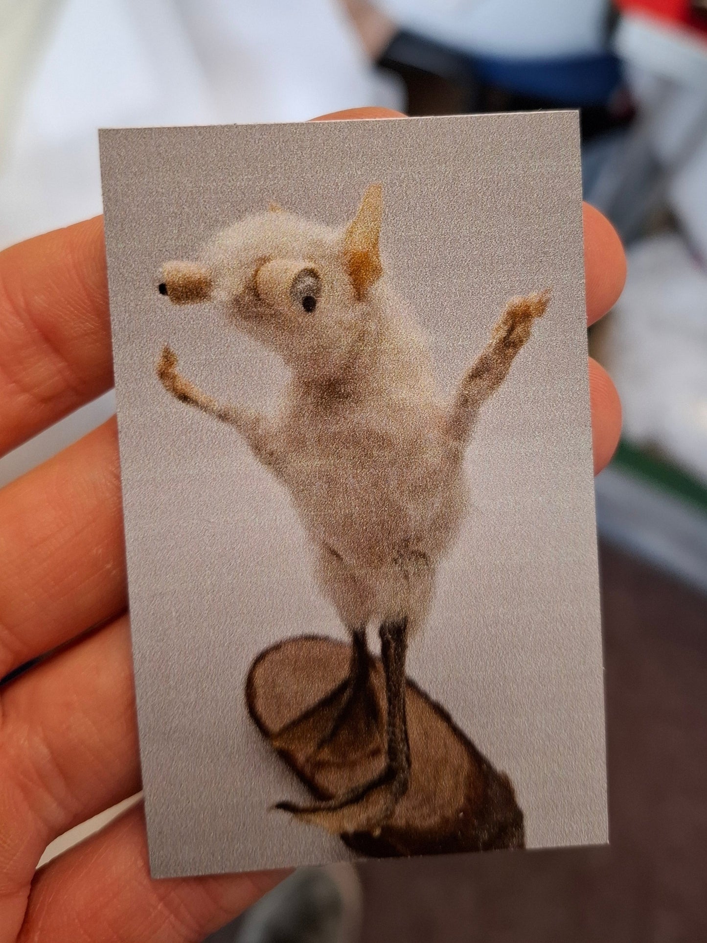 Child Stalker Magnet