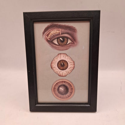 Bargain Box AKA Imperfect things