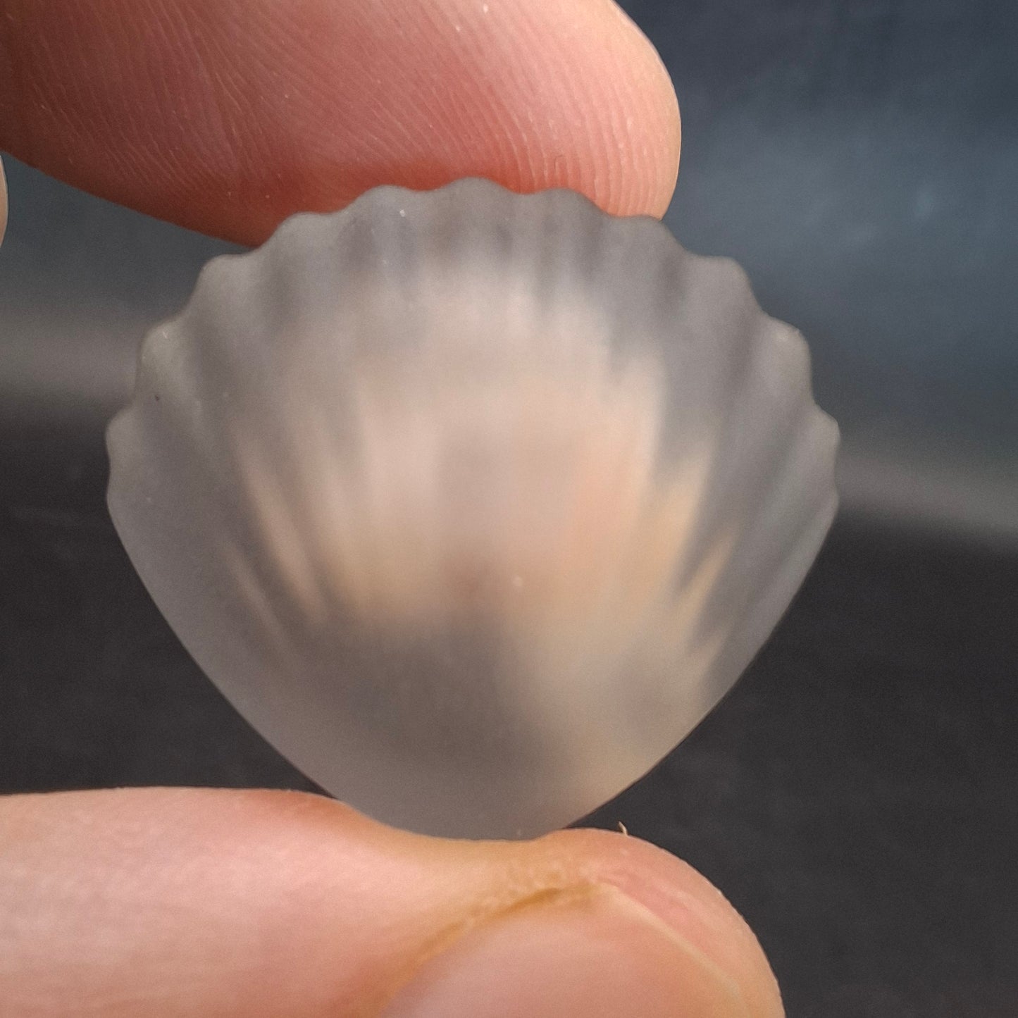 Seeshell