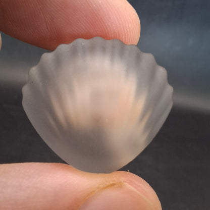 Seeshell