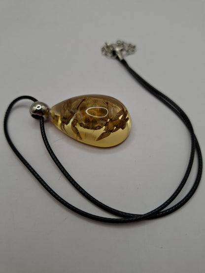 Crab Necklace