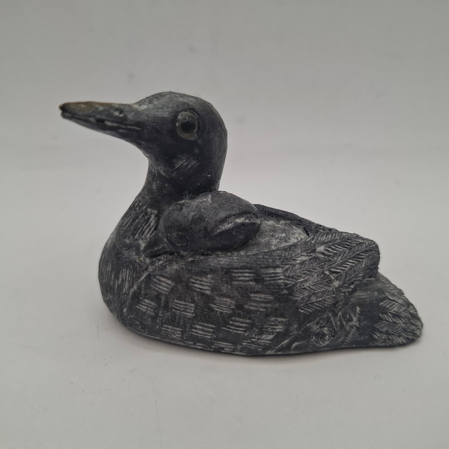 BDC - Black Duck, Canadian