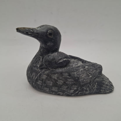 BDC - Black Duck, Canadian