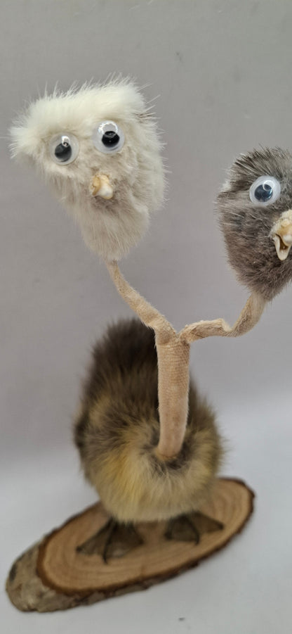 Twin Beaks