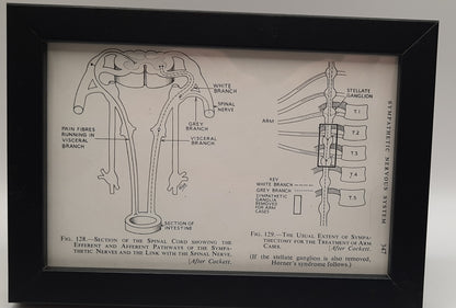 Framed Surgical Nursing