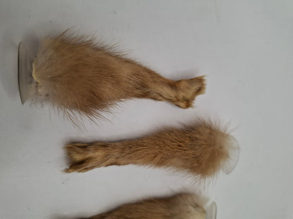 Limited Edition Window Leg