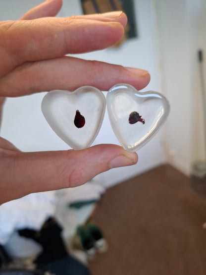 Mouse Heart