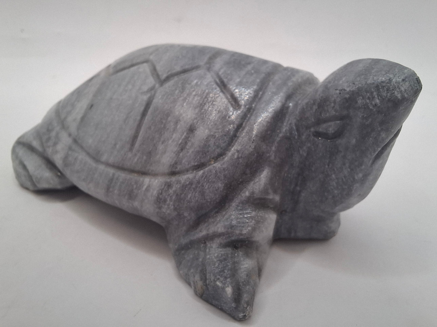 Sad Looking Turtle Carving
