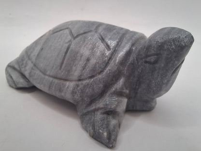 Sad Looking Turtle Carving