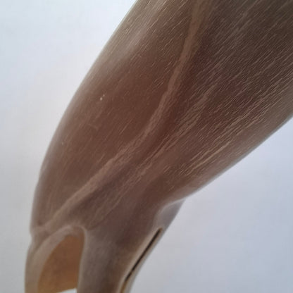 Horn Carved Into A Bird